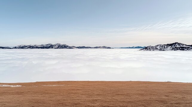 Vast expanse of white clouds below, with snow-capped mountain ranges and evergreen trees visible on the horizon under a clear, pale blue sky. The foreground fea - Powered by Adobe
