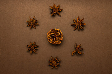 star anise and cinnamon