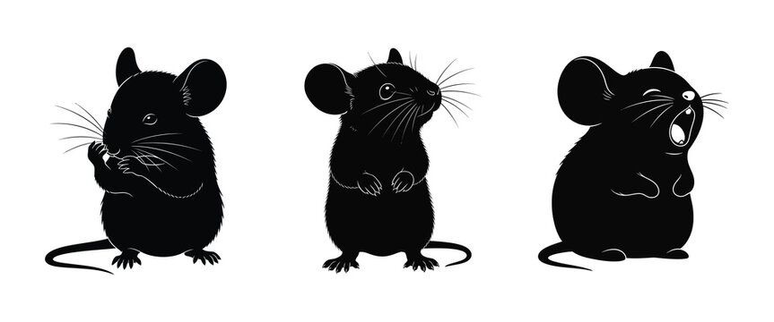 Three Silhouetted Mice Expressing Different Emotions