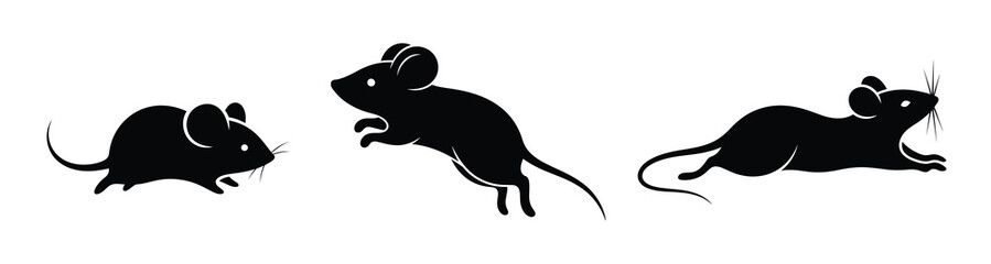 Three silhouette mice in different poses, illustrating movement and activity