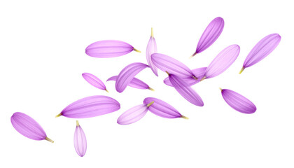Naklejka premium Petals dancing in the wind, delicate purple petals scattered across a white background, a symbol of spring and natural beauty