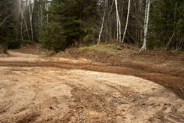 trail in the forest