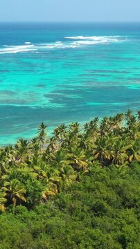 Pristine and bounty caribbean seashore with coconut palm trees and azure tropical sea. Beautiful beach. Aerial above view. Vertical footage