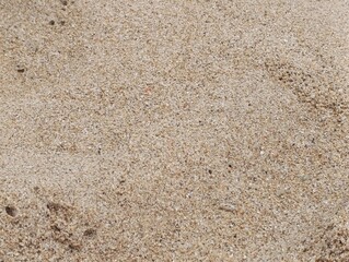 Extreme close up of light brown textured beach sand and small shells. Detailed granular surface showing fine texture of natural beach soil. 