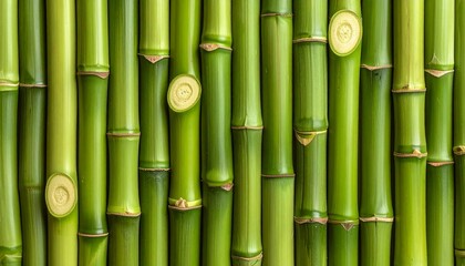 Obraz premium Seamless pattern of vertical green bamboo stalks with visible nodes, offering a natural and organic texture ideal for backgrounds