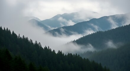 Misty mountain landscape with dense evergreen forests shrouded in ethereal clouds and fog, creating a serene and mystical natural scene