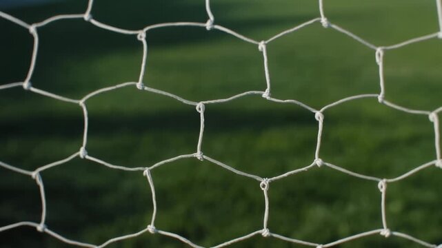 soccer net on green grass
