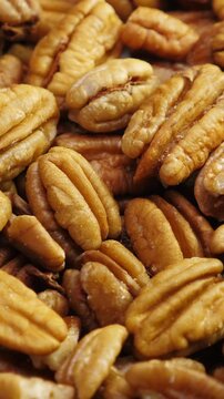 Pecan nuts background. Closeup pekan seeds. Rotate. Vertical footage