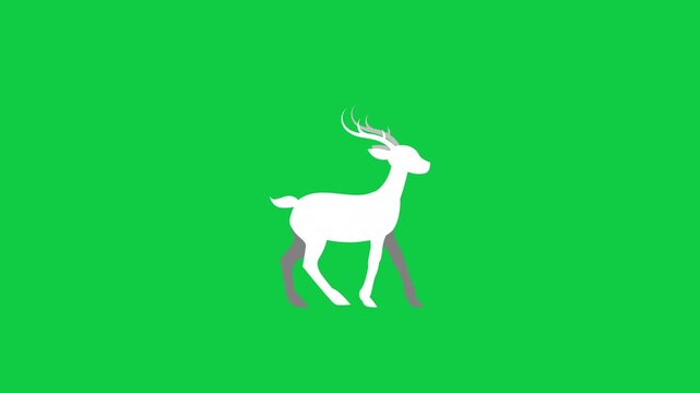 Walking Deer Silhouette Animation on Green Screen Background