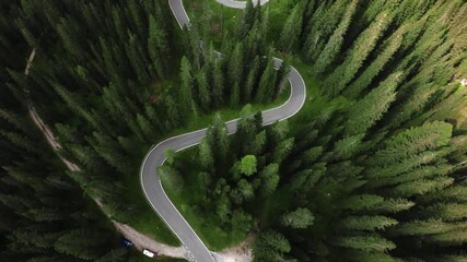 mountain route panorama, cinematic symmetrical shot of winding mountain path among pines, elevated perspective capturing circular mountain road lined with tall pine trees and serene - Powered by Adobe