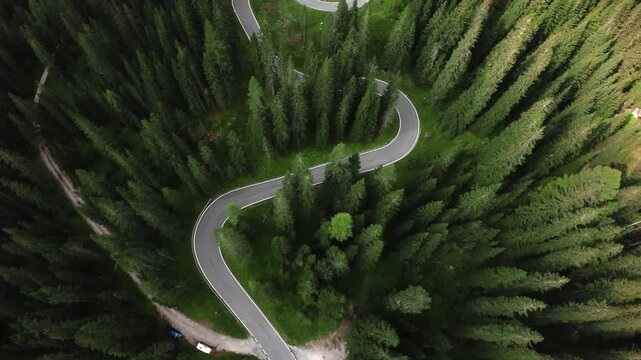 mountain route panorama, cinematic symmetrical shot of winding mountain path among pines, elevated perspective capturing circular mountain road lined with tall pine trees and serene