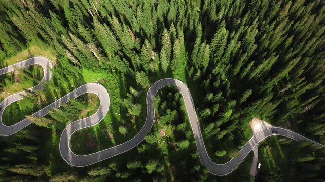 breathtaking aerial shot of curving forest road, highangle perspective showcasing winding road amidst lush trees, dynamic aerial view capturing sharp hairpin turns on forested mountain pass snake road