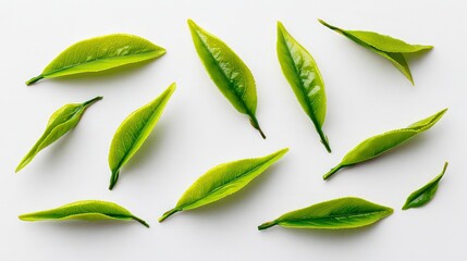 Scattered Bright Green Tea Leaves on a White Background Still Life