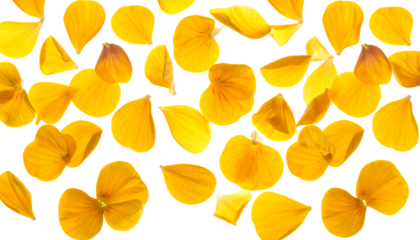 Abstract pattern of scattered yellow flower petals creating a vibrant, organic, and natural backdrop