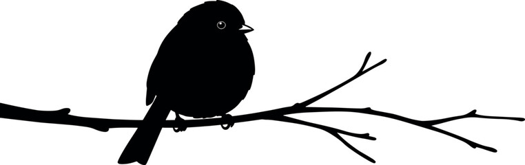 Silhouette Small Black Bird Sitting on Thin Tree Branch Against White Background