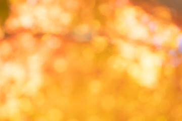 하늘과 가을 색감의 보케 배경