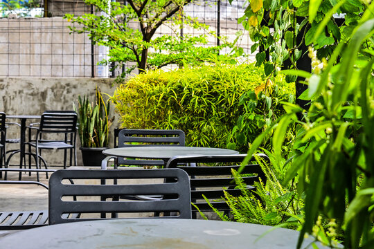 Empty tables and chairs set in restaurant, cafe or coffee shop. Plants, green leaves, nature, tree, wall. outdoor. grey, gray, black. eco, decorative, style. background. aesthetic, botany, environment