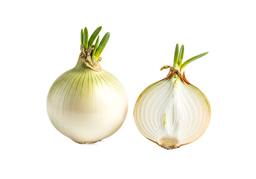 Fresh organic onion cut in half showing layers, ready for cooking, highlighting culinary freshness and healthy eating, ideal for food bloggers