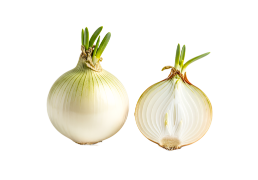 Fresh organic onion cut in half showing layers, ready for cooking, highlighting culinary freshness and healthy eating, ideal for food bloggers