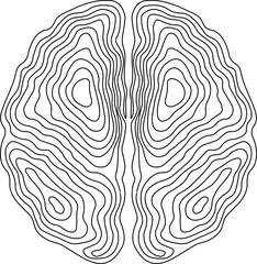 Abstract Top View Brain Contour Lines Vector