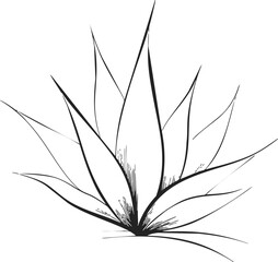 Agave plant sketch, hand drawn line art with spiky leaves and minimal detail. Vector illustration