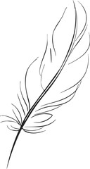Obraz premium Feather sketch hand drawn line art with elegant minimalist outline. Vector illustration