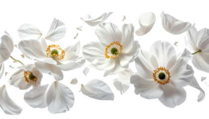 Ethereal white anemone blooms with scattered delicate petals creating a serene, airy floral composition on a luminous background, embodying natural beauty and elegant tranquility