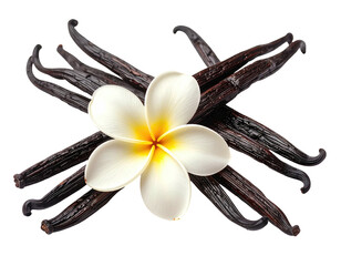 Close-up of vanilla pods crossed, centered by a white and yellow flower