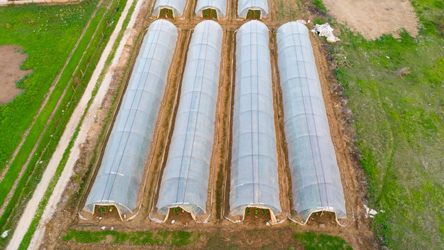 Aerial drone view of four long plastic greenhouse tunnels in a row on a farm field showing protected cultivation methods in Turkey