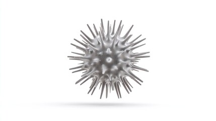 Obraz premium A close-up of a gray, spiky sphere floating against a clean white background, appearing biological or microscopic in nature