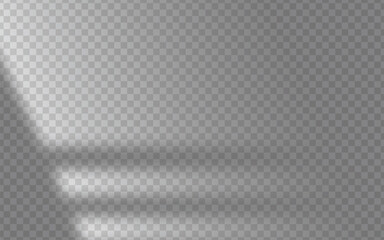 Realistic soft window shadow overlay on transparent background, perfect for branding, product display, social media design, and modern minimal mockups. Subtle natural sunlight studio lightning effect