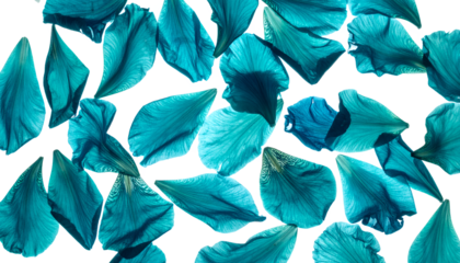 Abstract background of scattered teal blue flower petals, creating a beautiful and organic pattern