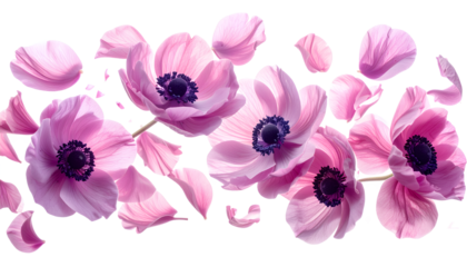 Delicate pink anemone flowers with falling petals creating a beautiful floral border