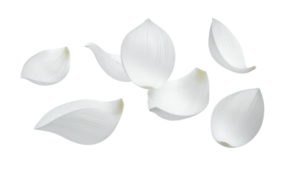 Delicate white flakes, reminiscent of garlic or onion petals, gracefully scattered and falling against a pristine background, symbolizing freshness, purity, and essential natural ingredients