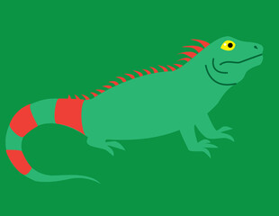 A vector art of an iguana. 