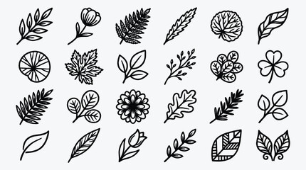 Botanical illustration set of twenty two floral elements nature designs