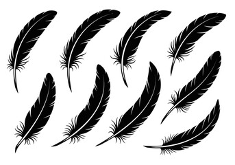 Black Feather Vector Silhouettes Set - Detailed High-Contrast Bird Plume Graphics