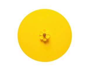 Small yellow flower on a vibrant yellow circle set against a black background