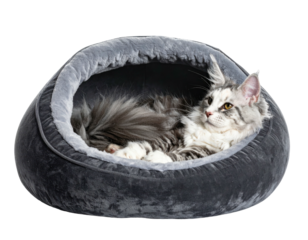 Fluffy long-haired cat rests serenely inside a plush, rounded, gray pet bed