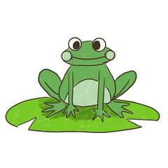 green frog on a leaf