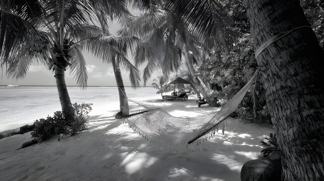 Hammock strung between palm trees offers shade on a tropical sandy shoreline