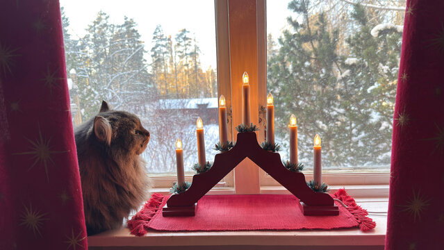 Swedish advent ljusstake, traditional candle holder with warm candlelight in a snowy winter window, with a tabby cat nearby