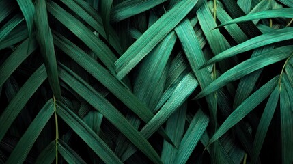 Tropical green leaves with a dark background, creating a natural and vibrant texture.
