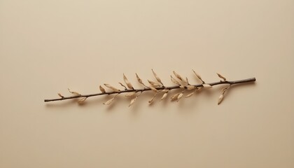 Minimal dried branch placed on a smooth beige surface