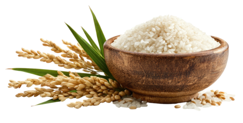 Rice bowl w/ stalks and leaves; healthy grains close-up