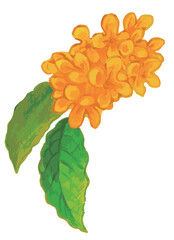 キンモクセイのスケッチ素材。ベクターイラスト素材。