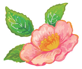 サザンカのスケッチ素材。ベクターイラスト素材。