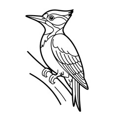 Obraz premium woodpecker illustration vector style coloring page 