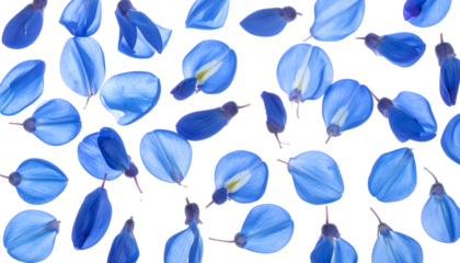 A scattering of delicate blue petals, artfully arranged on a pure white background, creating a vibrant and abstract natural pattern