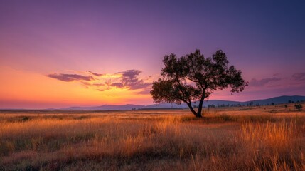 Fototapeta premium A lone tree stands in a vast, open field at sunset, with a vibrant sky painted in shades of purple, pink, and orange, casting a warm glow over the landscape.